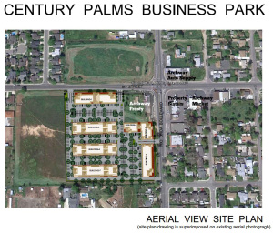 Century-Palms-3