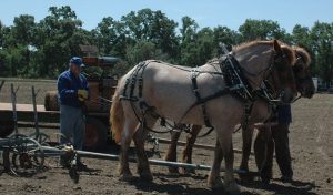 Farm-days-2015-2